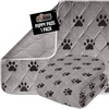 Paw Gray