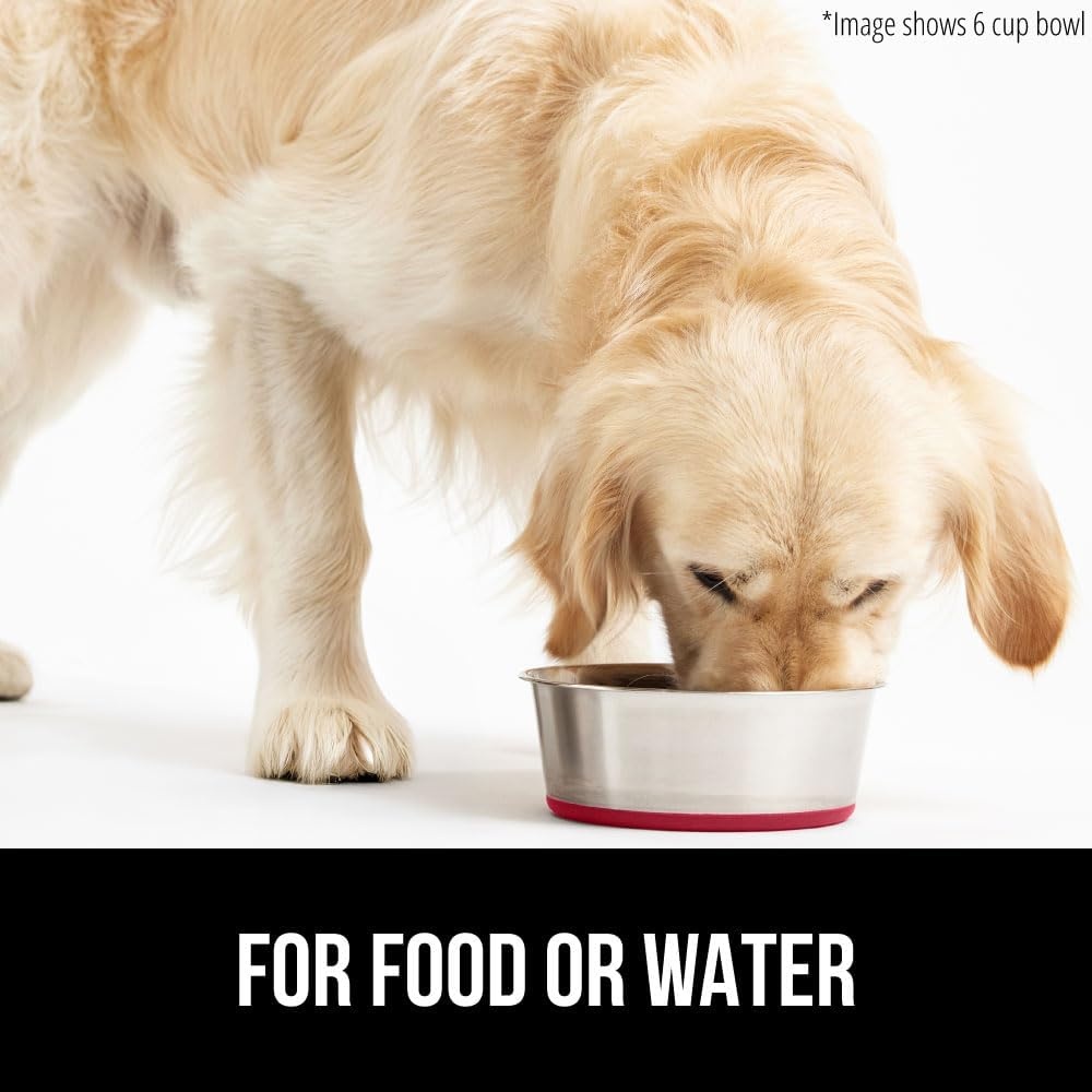 image:imageGORILLA GRIP Dog Bowl Holds 2 Cups 16 fl oz Food Grade 304 Stainless Steel Food and Water Bowl for Feeding Dogs and Cats BPA Free Rubber Base Easy Clean Dishwasher Safe Rust Resistant BlackRed