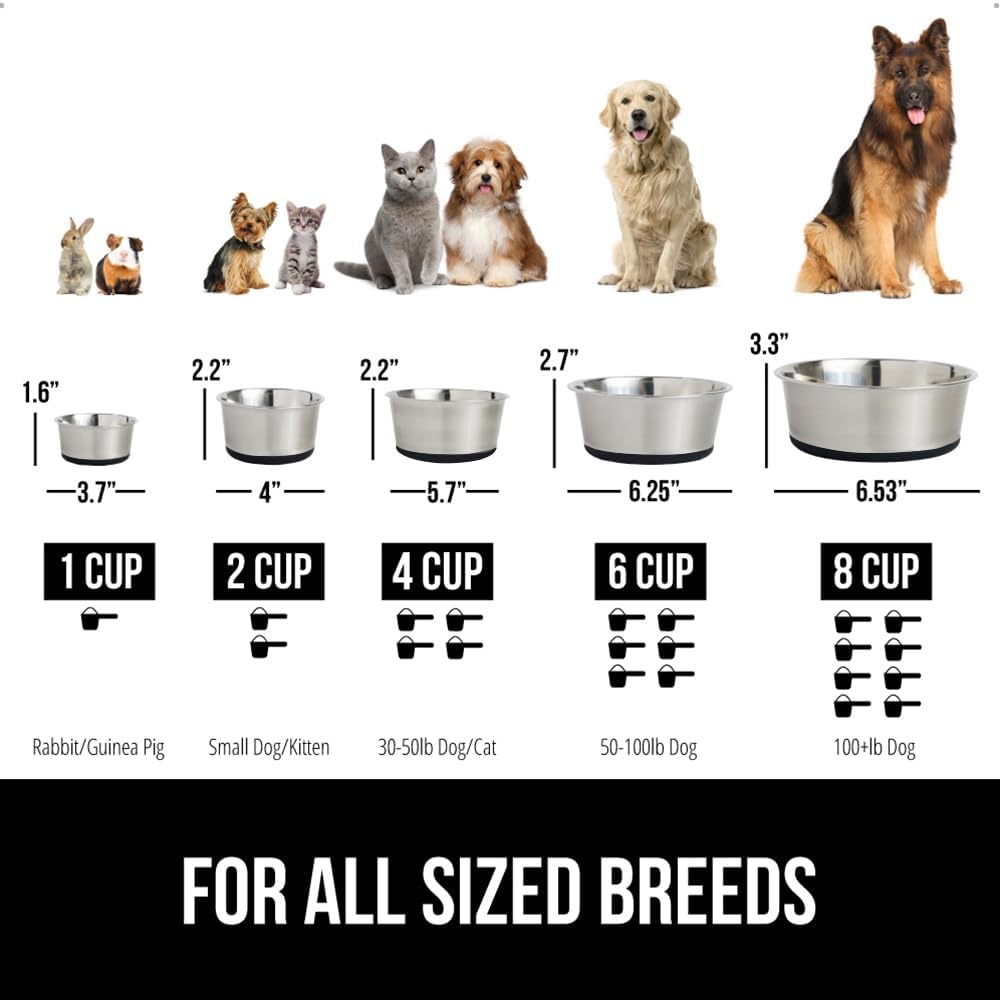 image:imageGORILLA GRIP Dog Bowl Holds 2 Cups 16 fl oz Food Grade 304 Stainless Steel Food and Water Bowl for Feeding Dogs and Cats BPA Free Rubber Base Easy Clean Dishwasher Safe Rust Resistant BlackBlack