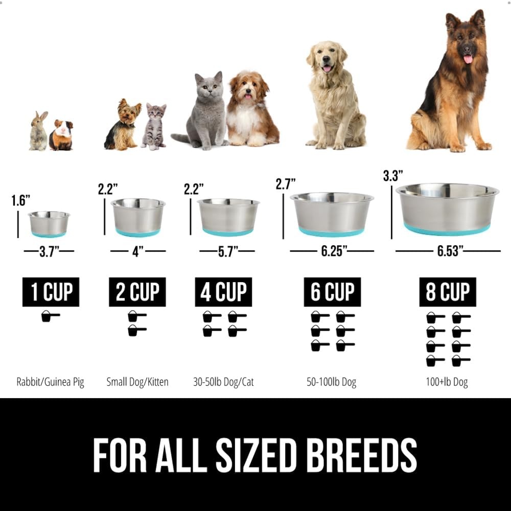 image:imageGORILLA GRIP Dog Bowl Holds 2 Cups 16 fl oz Food Grade 304 Stainless Steel Food and Water Bowl for Feeding Dogs and Cats BPA Free Rubber Base Easy Clean Dishwasher Safe Rust Resistant BlackTurquoise