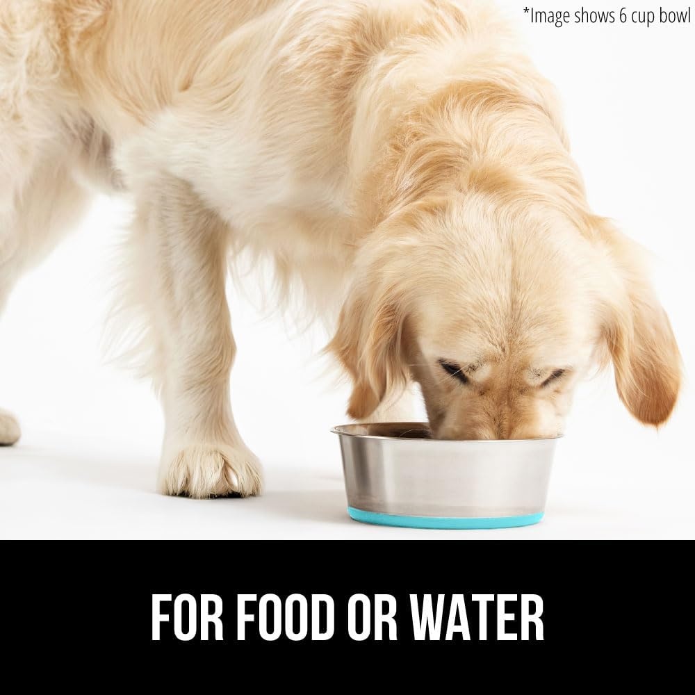 image:imageGORILLA GRIP Dog Bowl Holds 2 Cups 16 fl oz Food Grade 304 Stainless Steel Food and Water Bowl for Feeding Dogs and Cats BPA Free Rubber Base Easy Clean Dishwasher Safe Rust Resistant BlackTurquoise