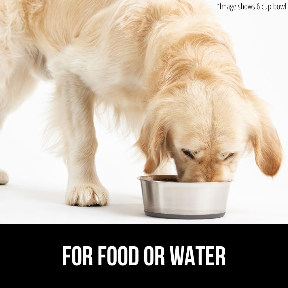 image:imageGORILLA GRIP Dog Bowl Holds 2 Cups 16 fl oz Food Grade 304 Stainless Steel Food and Water Bowl for Feeding Dogs and Cats BPA Free Rubber Base Easy Clean Dishwasher Safe Rust Resistant BlackGray