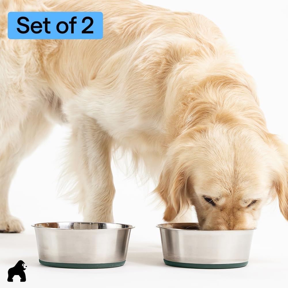 image:imageGORILLA GRIP Dog Bowls Food Grade 304 Stainless Steel Holds 2 Cups Each 16 fl oz Food and Water Bowl for Feeding Dogs and Cats Dishwasher Safe Rust Resistant BPA Free Rubber Base Set of 2 BlackHunter Green