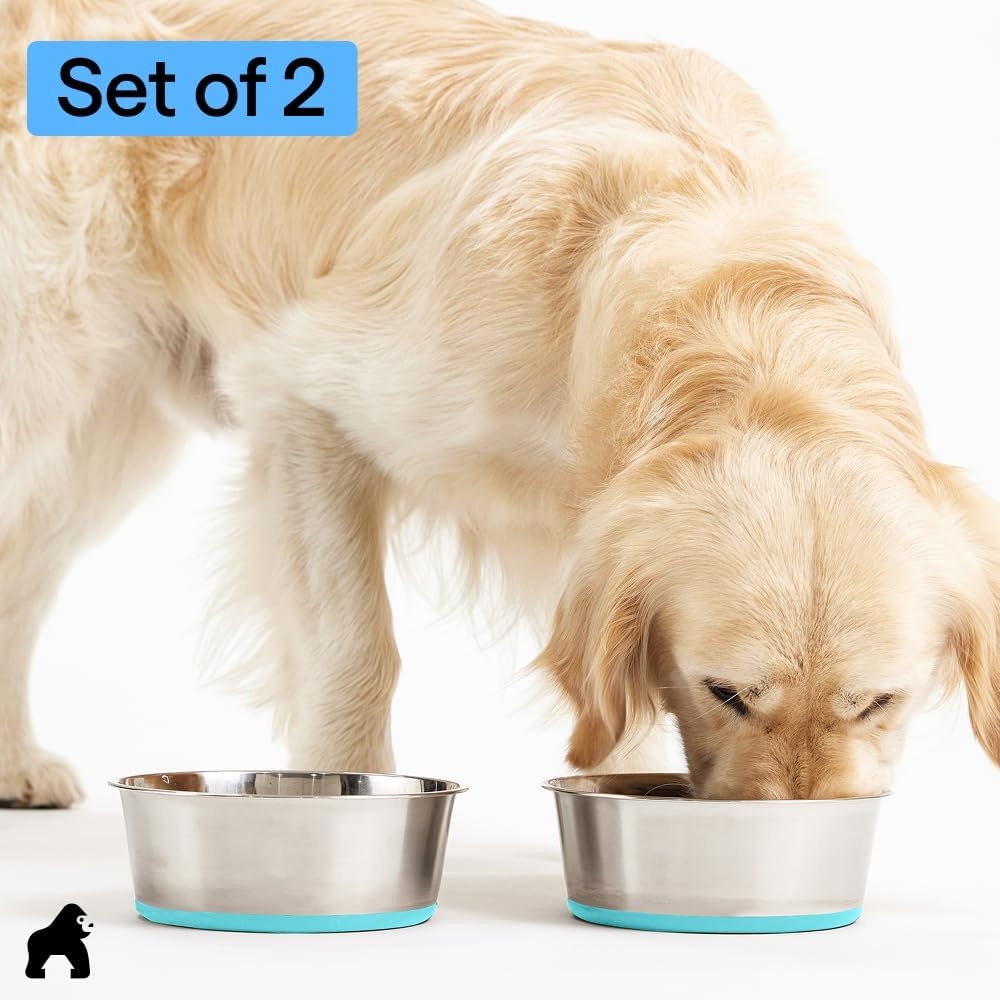 image:imageGORILLA GRIP Dog Bowls Food Grade 304 Stainless Steel Holds 2 Cups Each 16 fl oz Food and Water Bowl for Feeding Dogs and Cats Dishwasher Safe Rust Resistant BPA Free Rubber Base Set of 2 BlackTurquoise