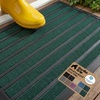 Green Stripe