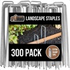 300 Pack