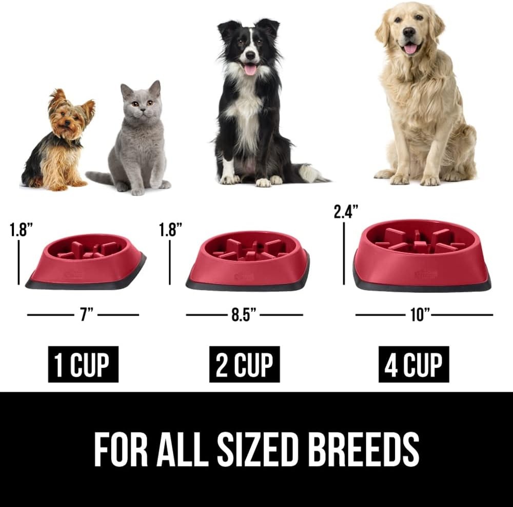 image:imageGORILLA GRIP Patented BPA Free Slow Feeder Dog Bowls Interactive Puzzle Toy for Dogs and Cats Food Training Enrichment Keeps Pets Busy and Prevents Puppy Overeating All Breeds 2 Cup GrayRed