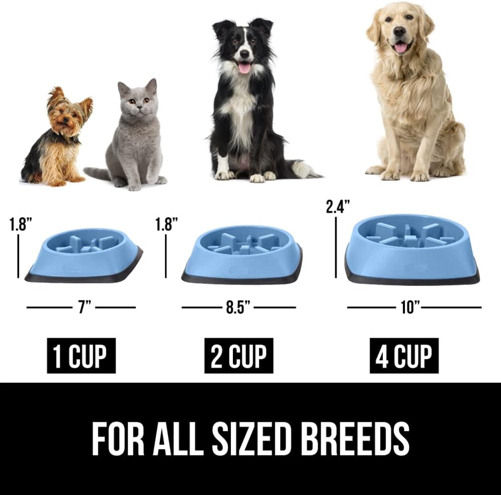 image:imageGORILLA GRIP Patented BPA Free Slow Feeder Dog Bowls Interactive Puzzle Toy for Dogs and Cats Food Training Enrichment Keeps Pets Busy and Prevents Puppy Overeating All Breeds 2 Cup GrayLight Blue