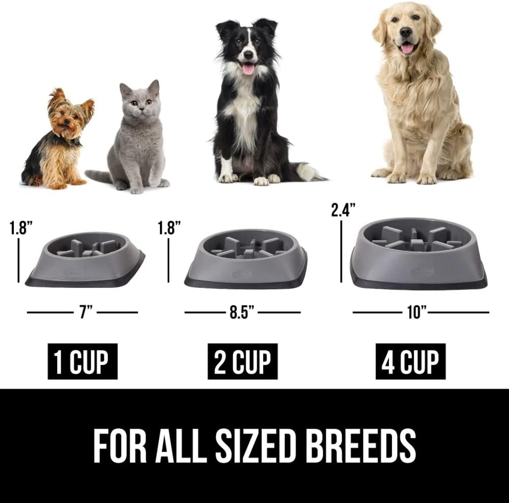 image:imageGORILLA GRIP Patented BPA Free Slow Feeder Dog Bowls Interactive Puzzle Toy for Dogs and Cats Food Training Enrichment Keeps Pets Busy and Prevents Puppy Overeating All Breeds 2 Cup GrayGray