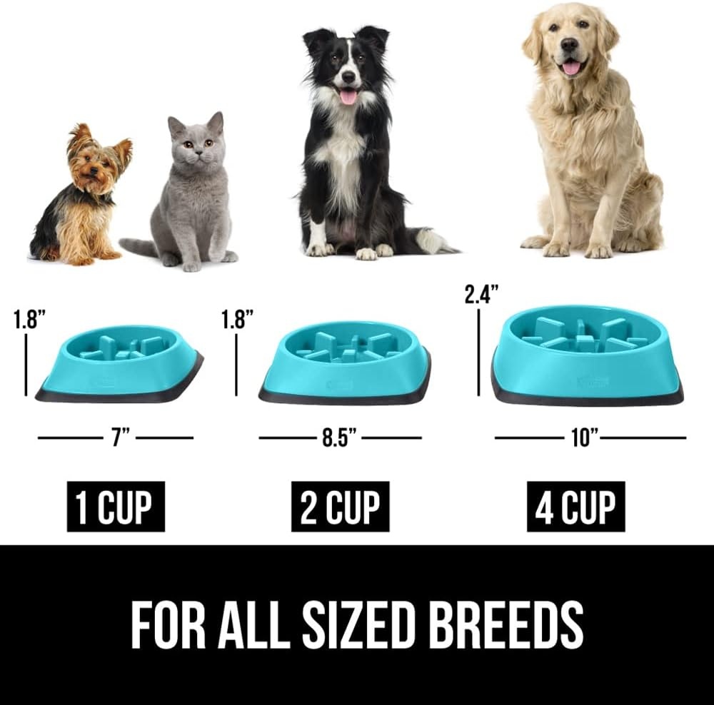 image:imageGORILLA GRIP Patented BPA Free Slow Feeder Dog Bowls Interactive Puzzle Toy for Dogs and Cats Food Training Enrichment Keeps Pets Busy and Prevents Puppy Overeating All Breeds 2 Cup GrayTurquoise