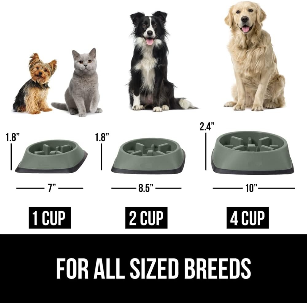 image:imageGORILLA GRIP Patented BPA Free Slow Feeder Dog Bowls Interactive Puzzle Toy for Dogs and Cats Food Training Enrichment Keeps Pets Busy and Prevents Puppy Overeating All Breeds 2 Cup GraySage